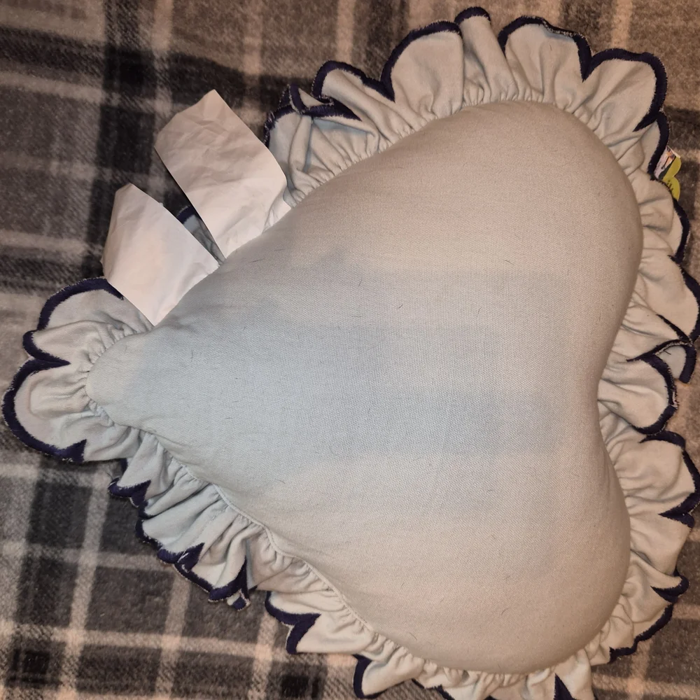 Heart-Shaped Bluey Pillow Box Lunch Exclusive - Picture 3 of 3